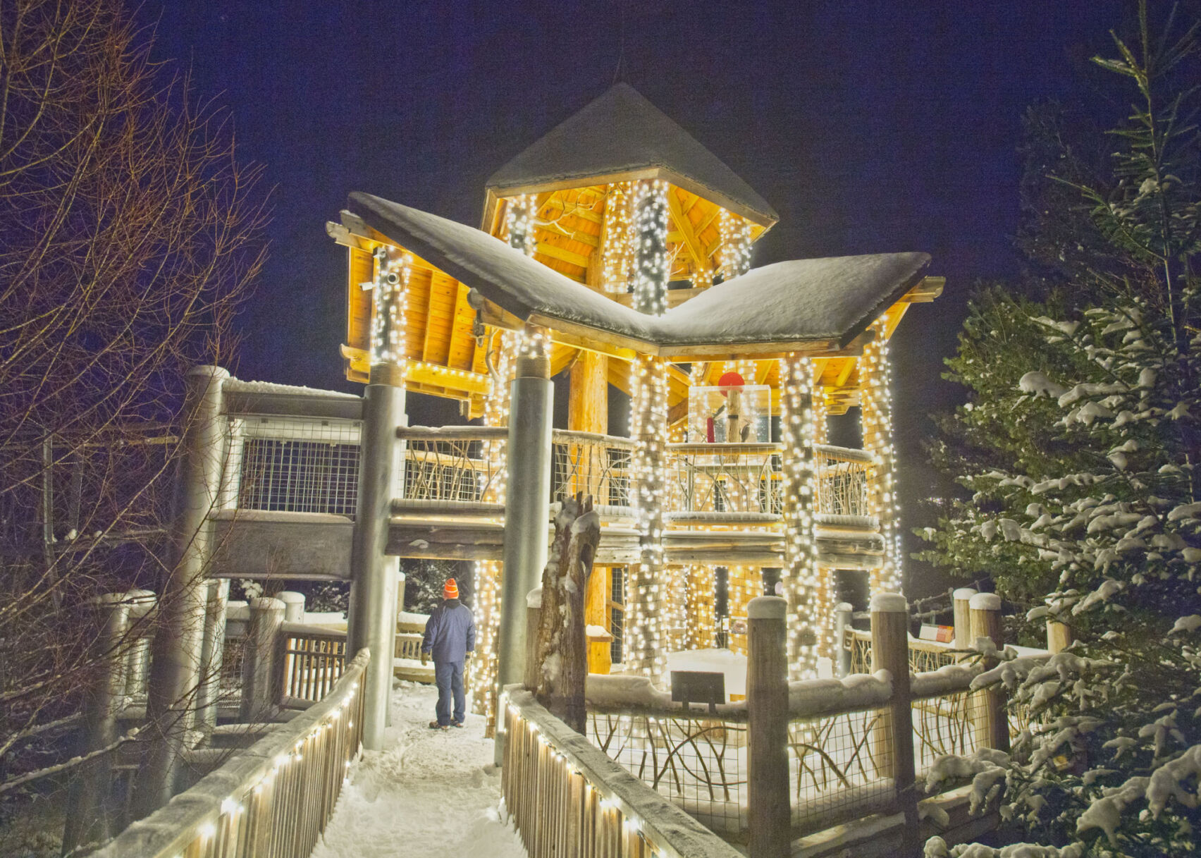 Wild Lights: An enchanted experience